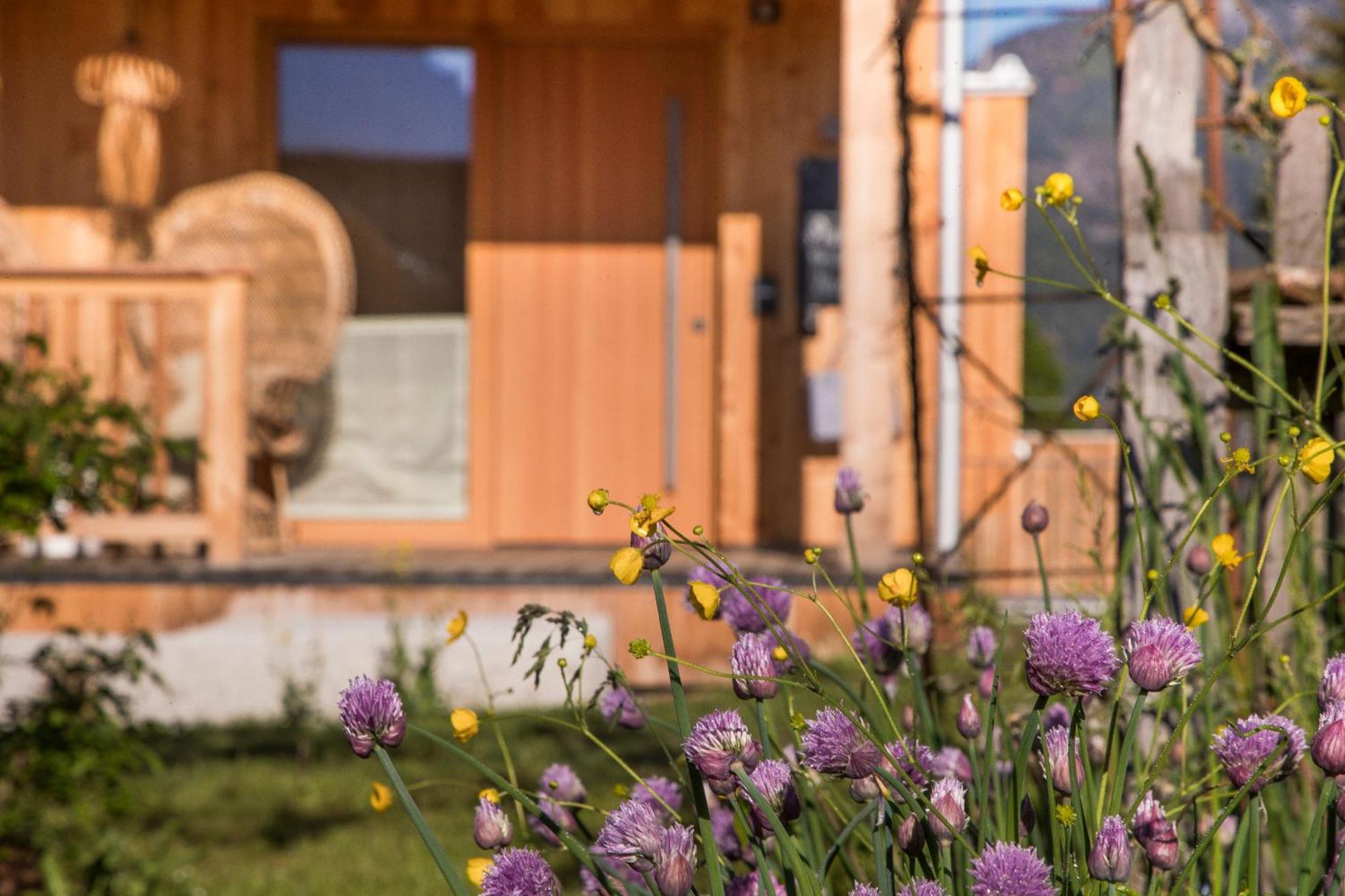 Alpegg Chalets Waidring Exterior photo